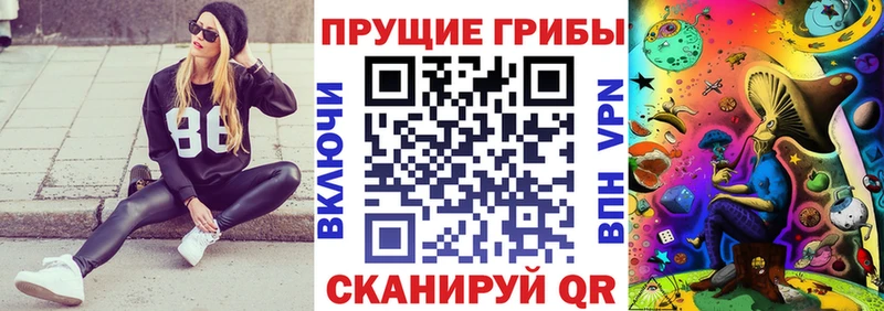 Псилоцибиновые грибы MAGIC MUSHROOMS  магазин продажи   Сердобск 